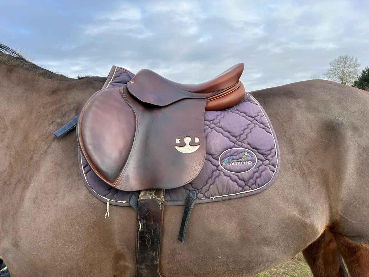 selle Bruno Delgrange Virtuose 2022 17.5