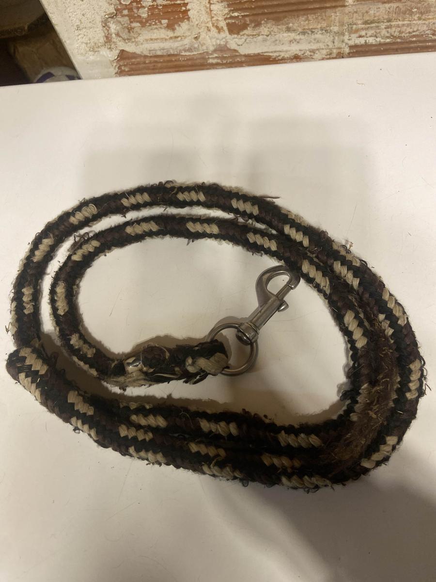 longue d’équitation