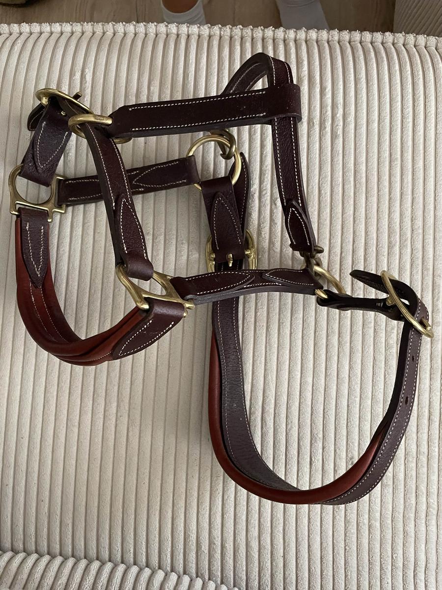 licol devoucoux bicolore comme neuf M