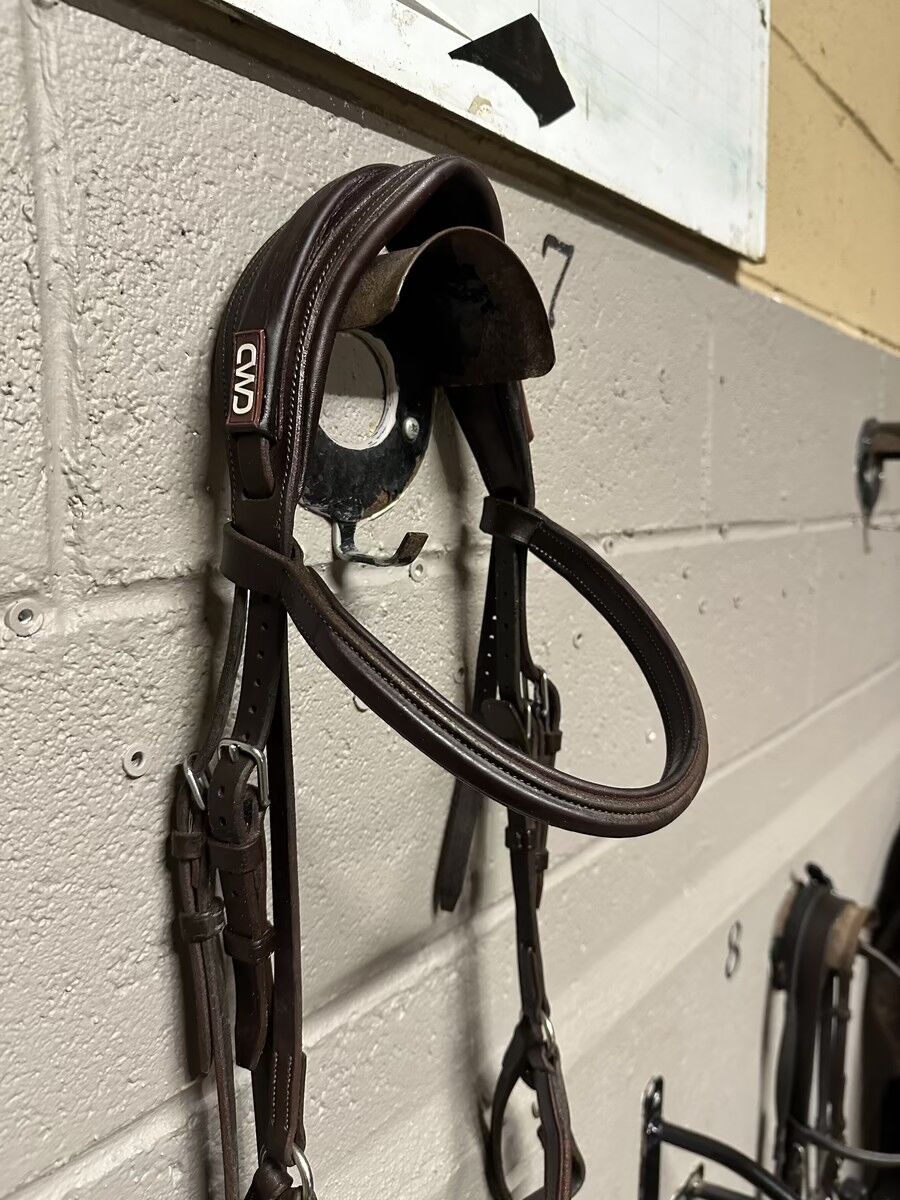 Bridon muserolle croisée CWD taille 3-cheval