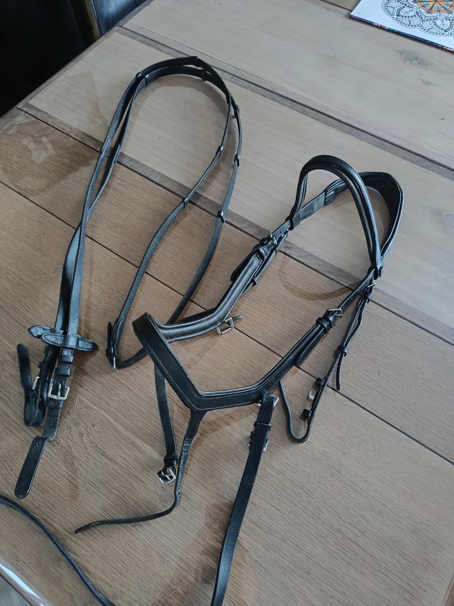 Bridon anatomique "Brauner" TDET