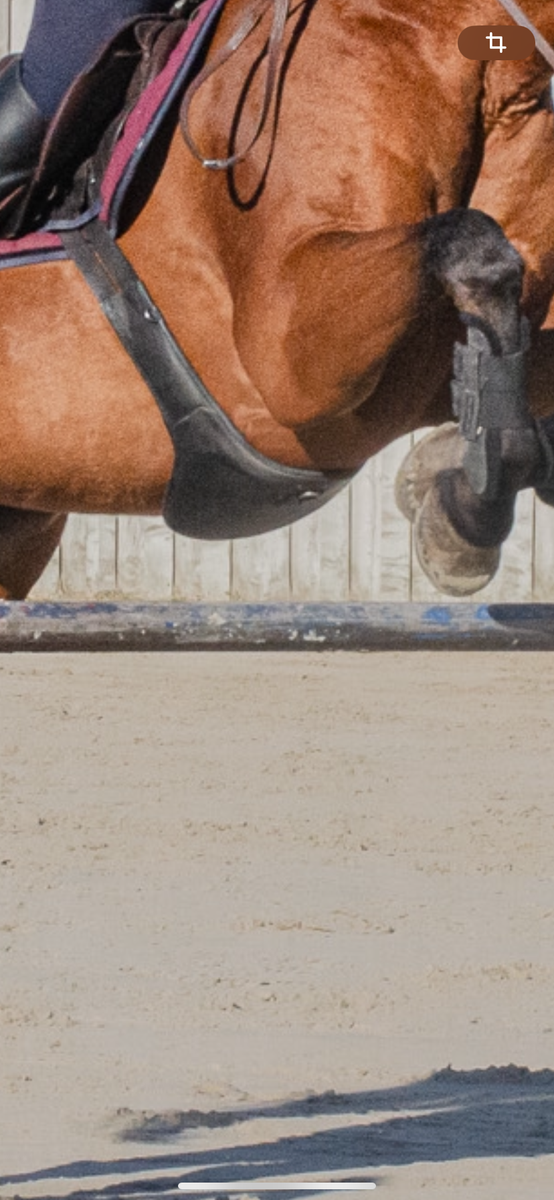 Sangle bavette noir 1.25