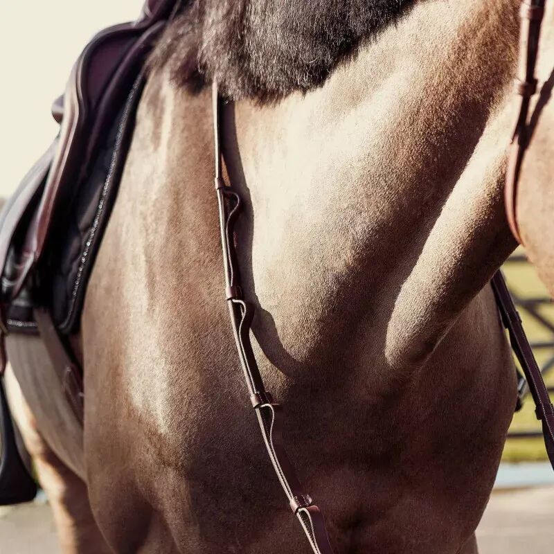 rênes CWD à poignets en cuirs