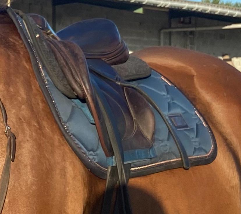 Tapis Equestrian Stockholm