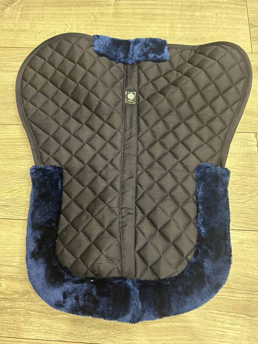 amortisseur riding world