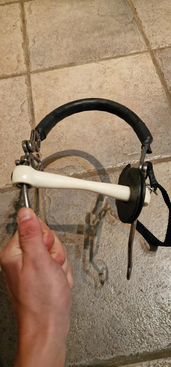 Mors Tandem droit résine grandes branches