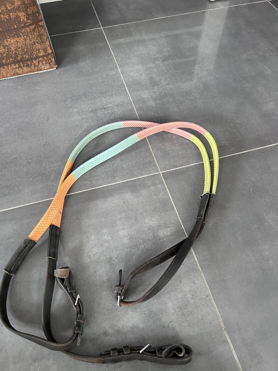 Rêne décathlon éducative