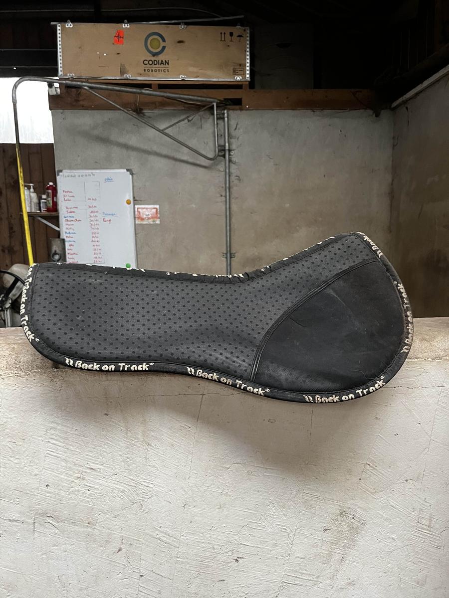 amortisseur back on track