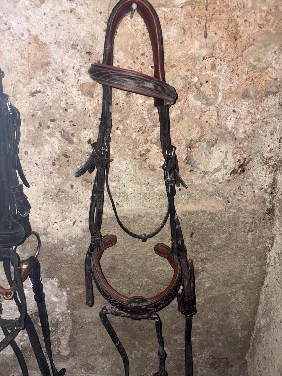 plusieurs tapis et mors