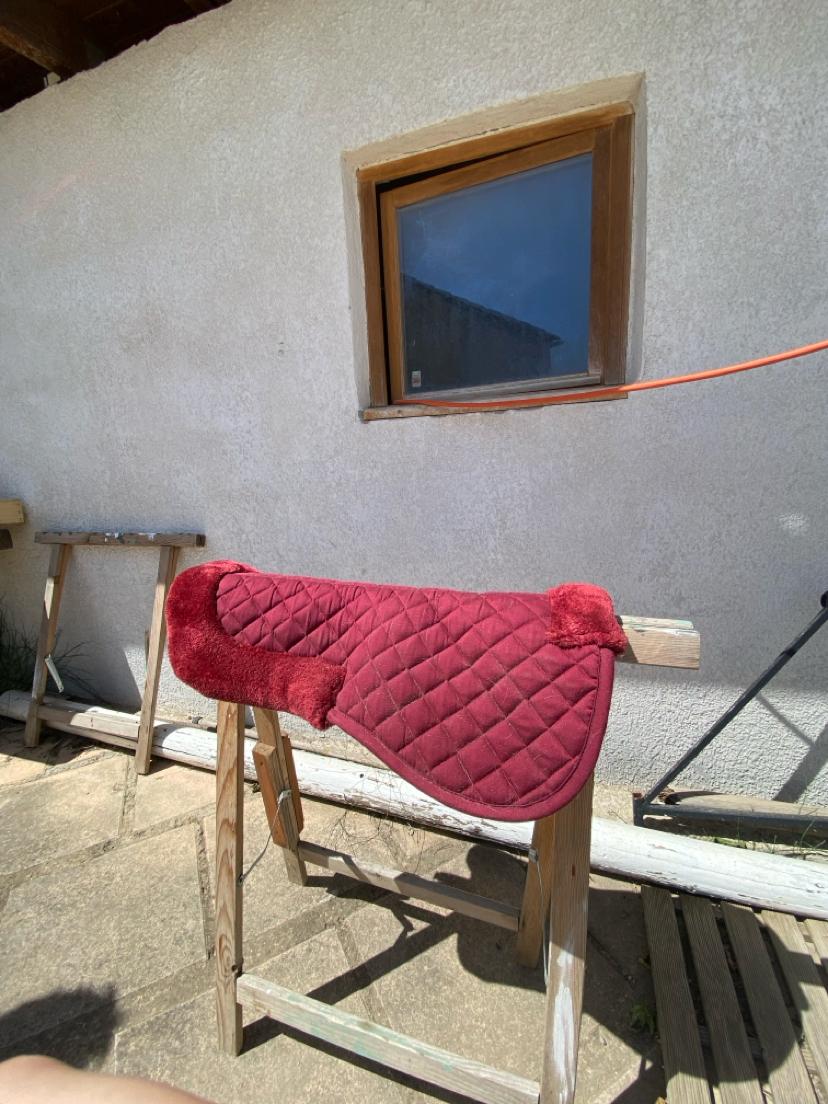 Amortisseur Riding world