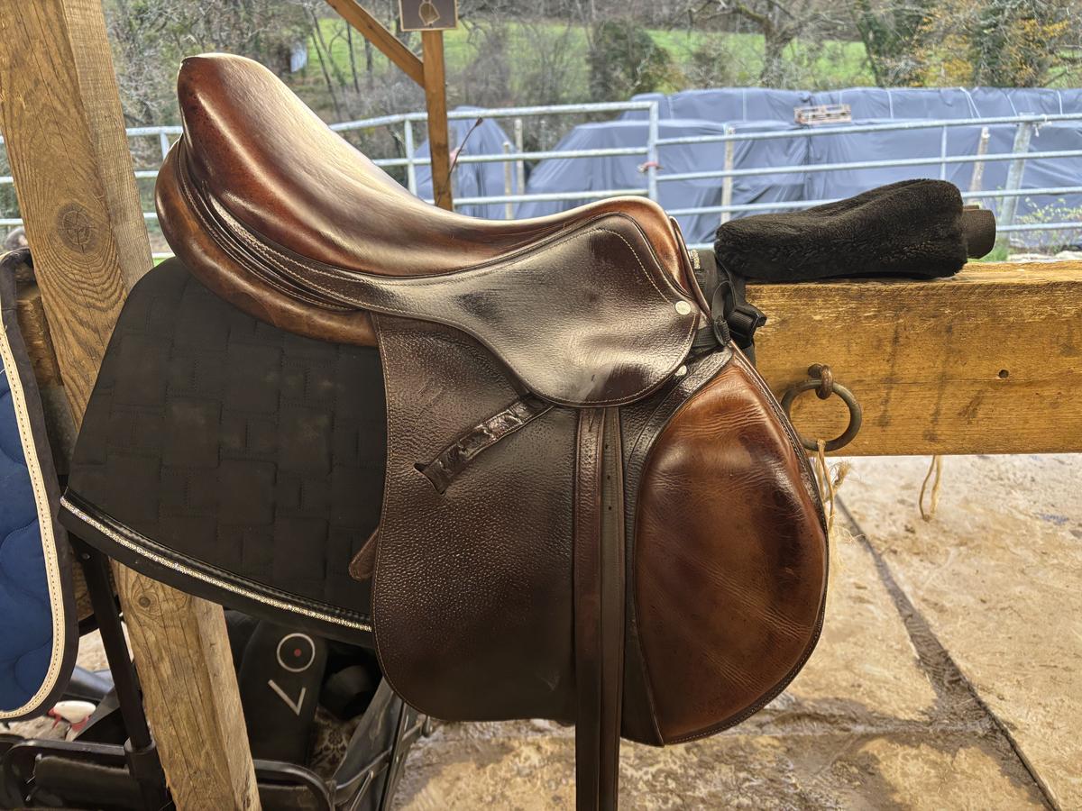 Selle antares signature