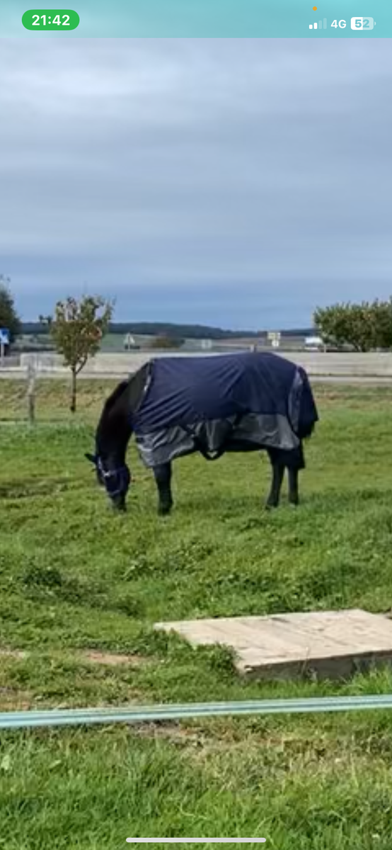 impair Equitheme 135