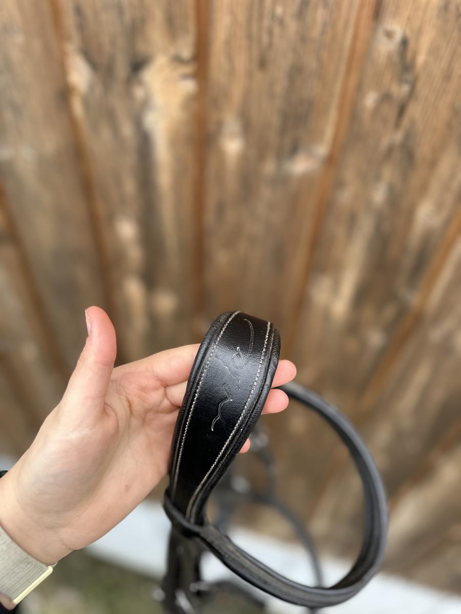 Lot de bridon noir 🖤