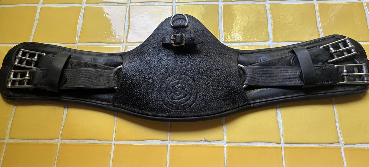 Sangle dressage forestier