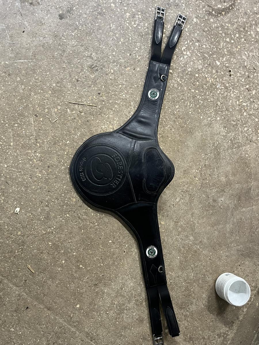 bavette longue forestier