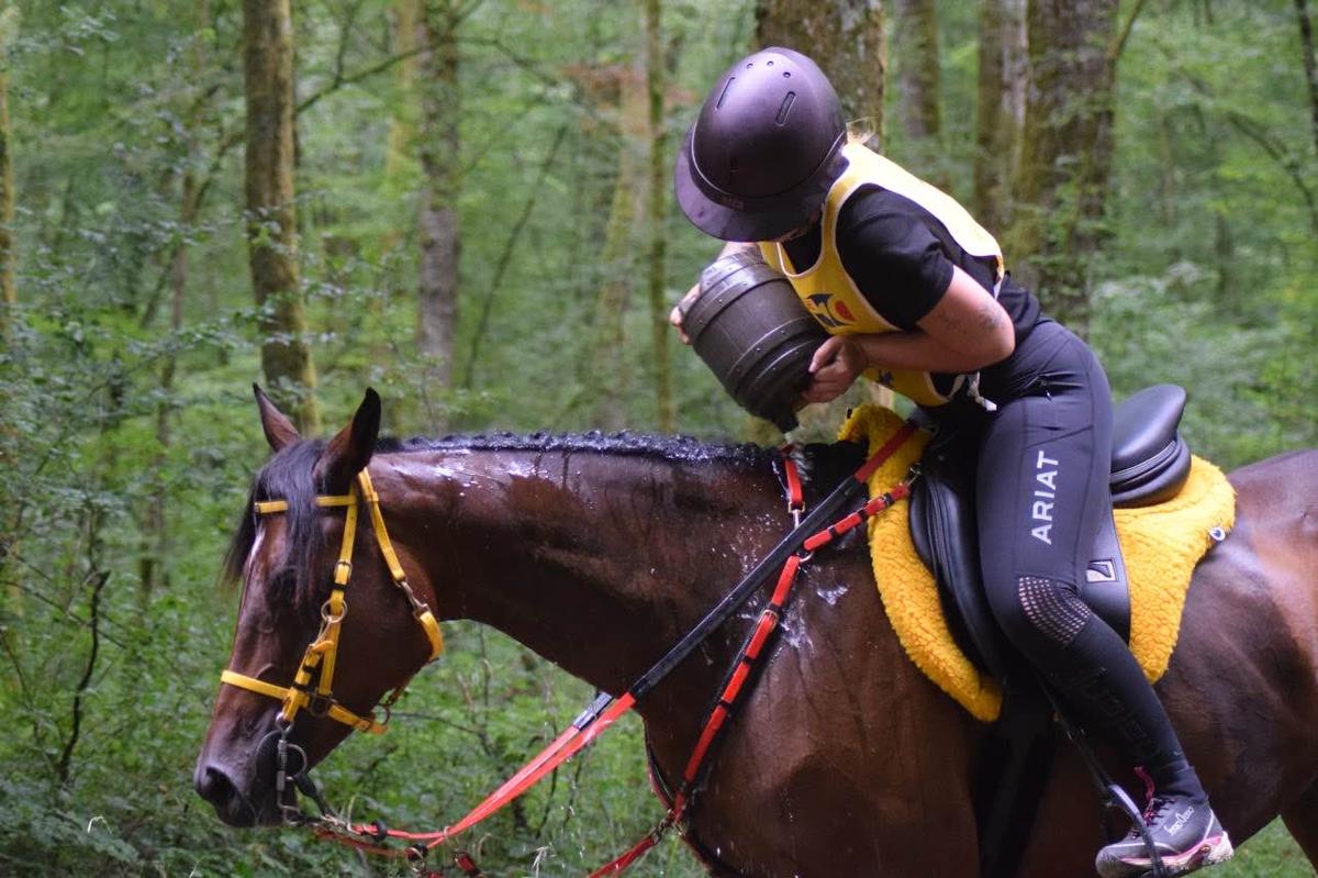 Rênes ZILCO endurance