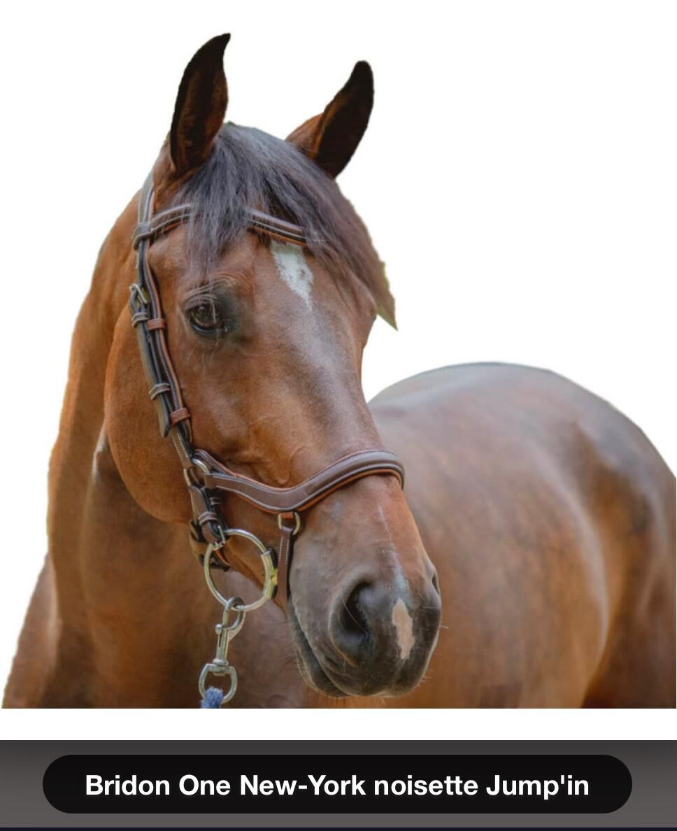 Bridon One New-York noisette Jump'in