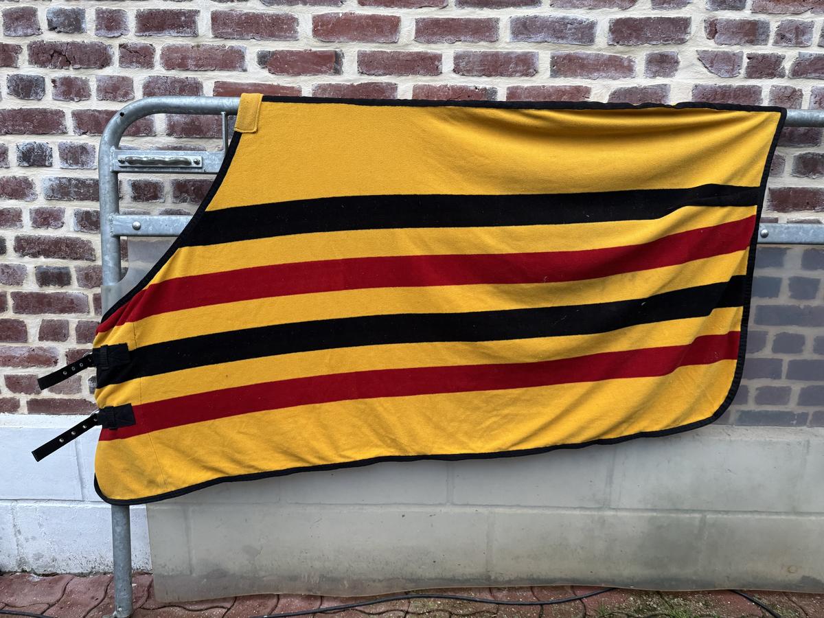 Couverture polaire/séchante