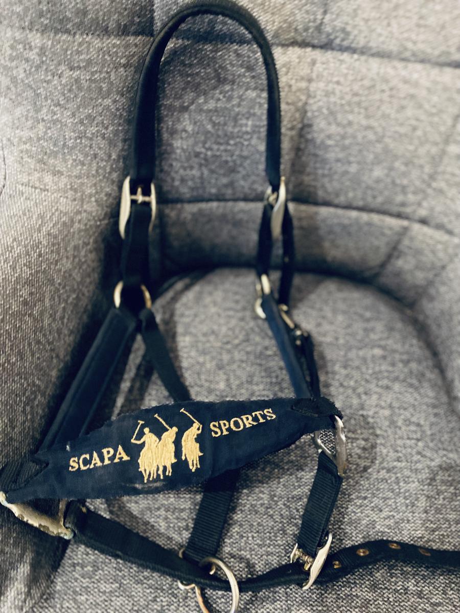 Ensemble Scapa sport marine/or full