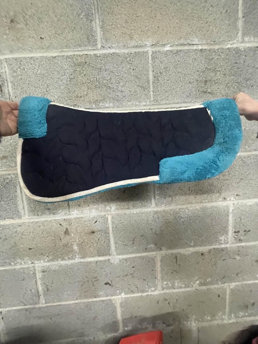 Amortisseur Equithème bleu