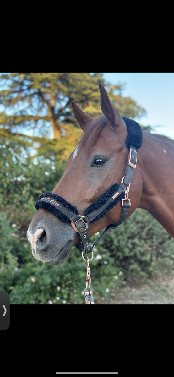 licol Equestrian Stockholm