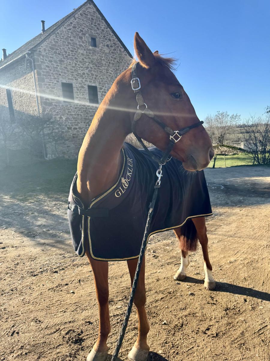 couverture polaire HKM Gloockler