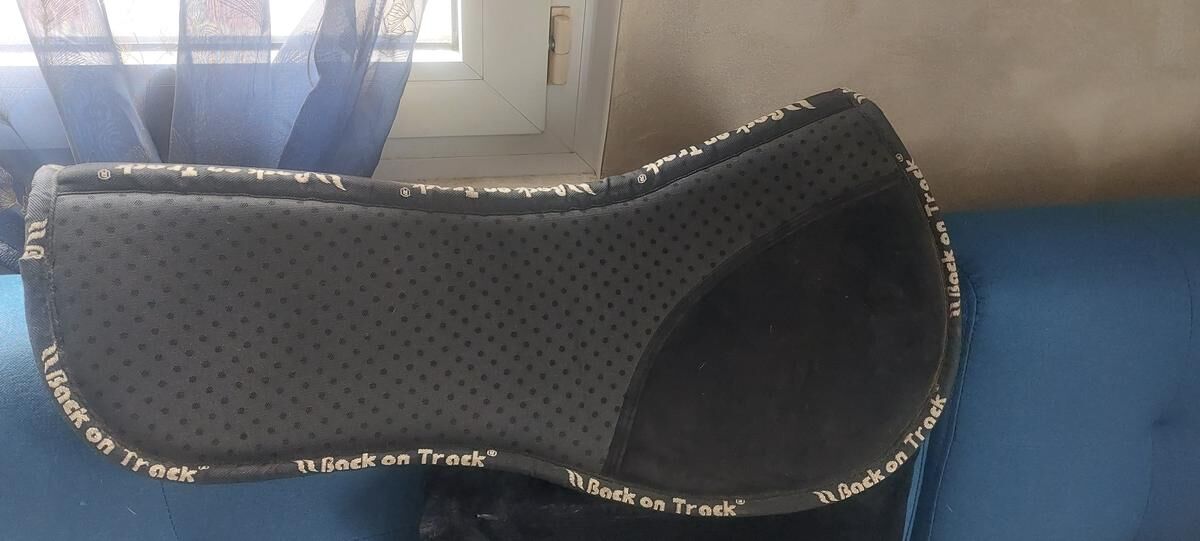 Amortisseur back on track