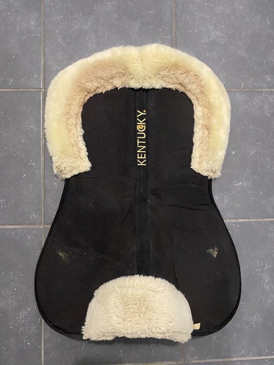 Amortisseur Kentucky