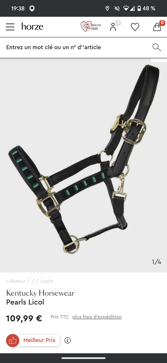 Licol Kentucky pearl