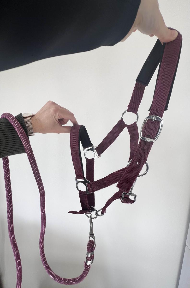 Licol poney nylon couleur prune framboise avec fil argenté