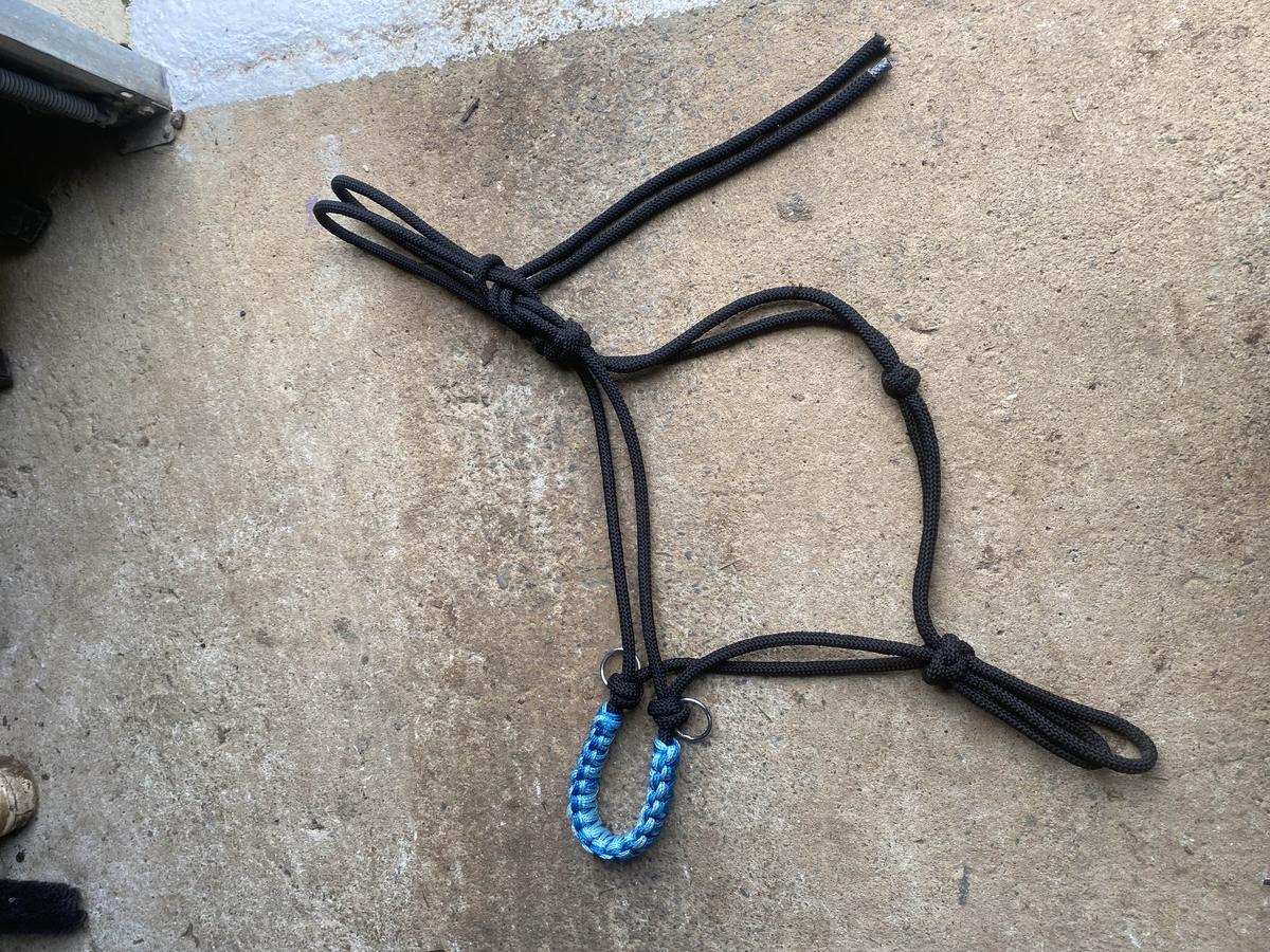 licol en corde