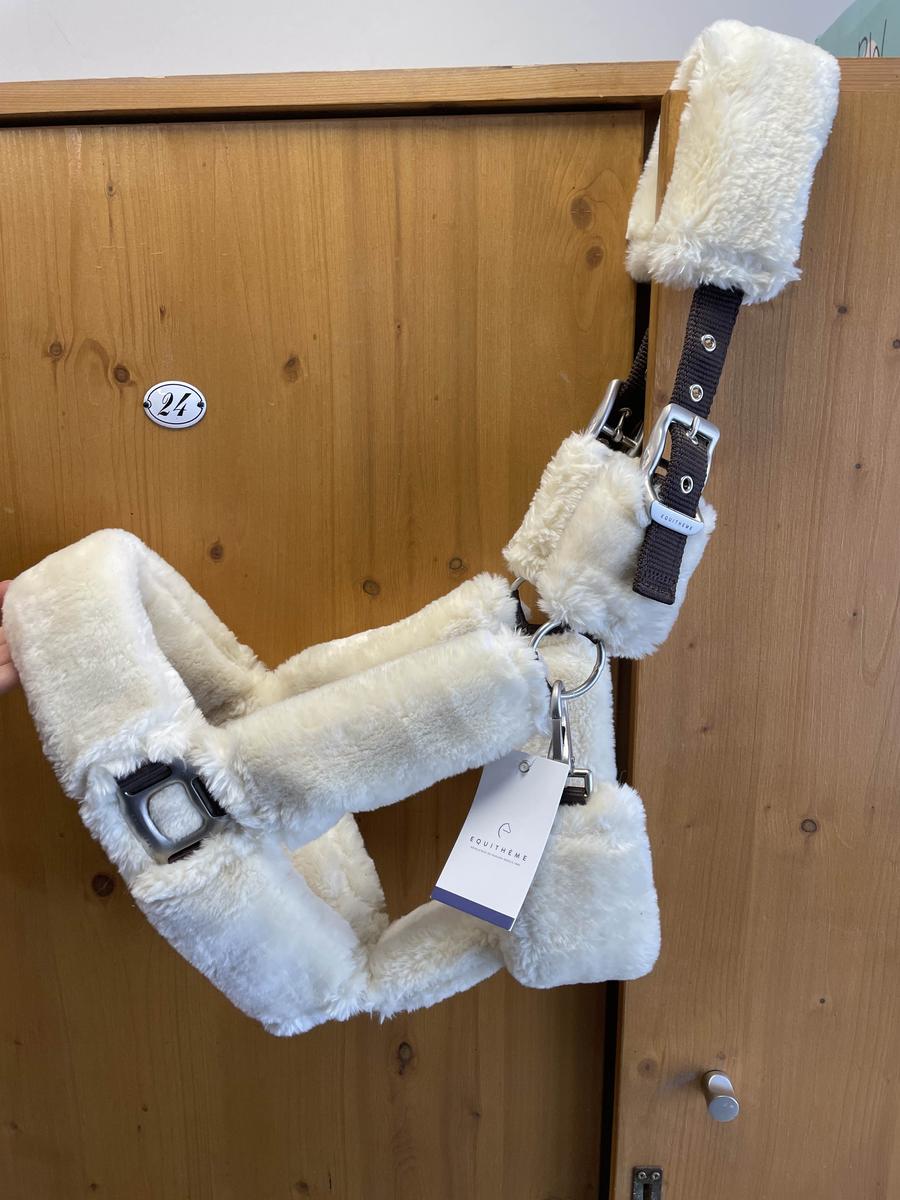 licol moumoute equitem