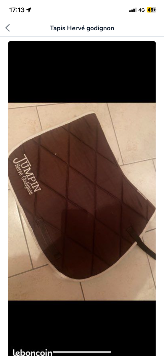 tapis Hervé godignon