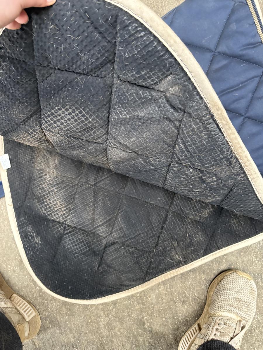 Tapis HFI bleu marine et bordures beiges