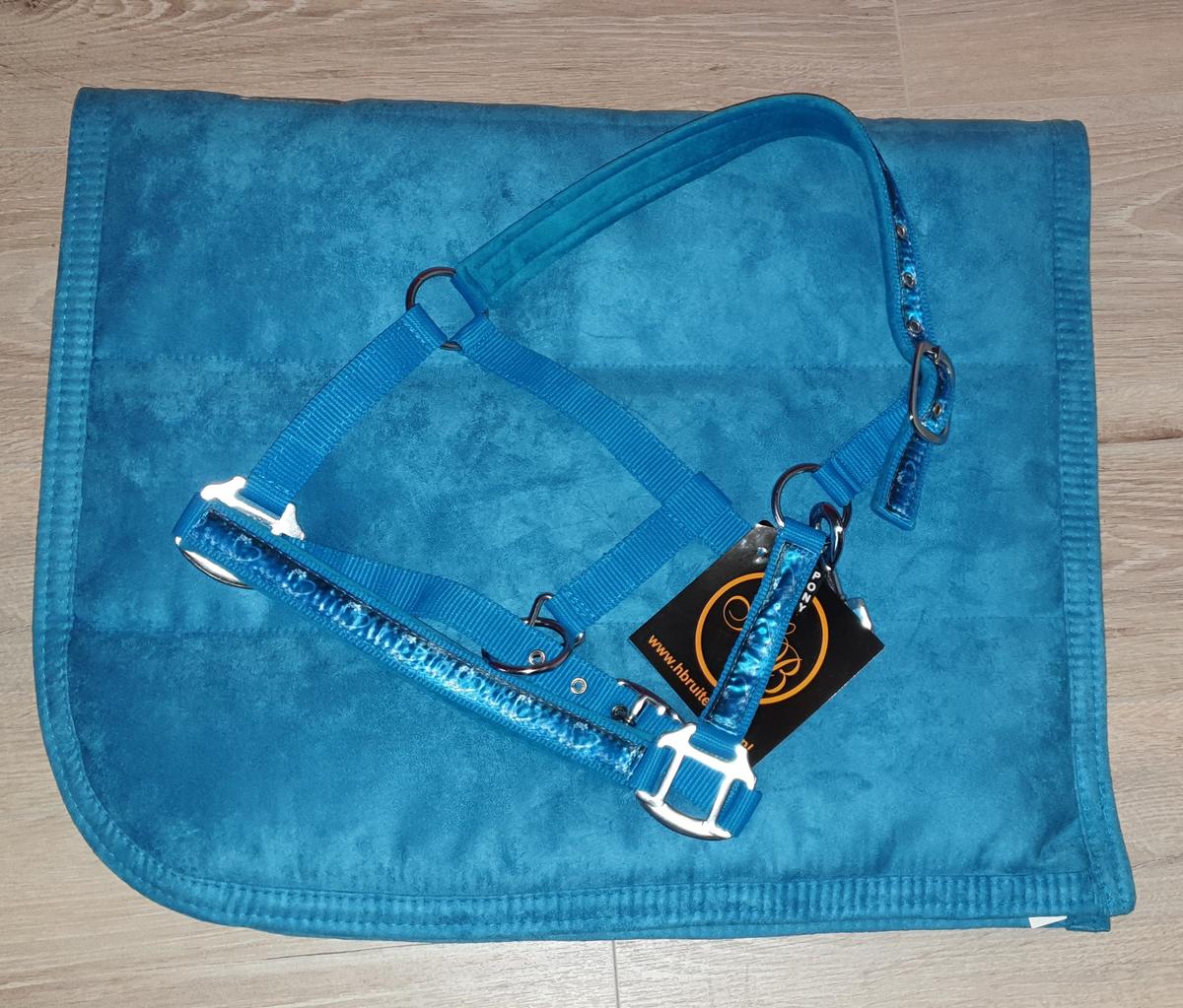 Ensemble poney tapis et licol