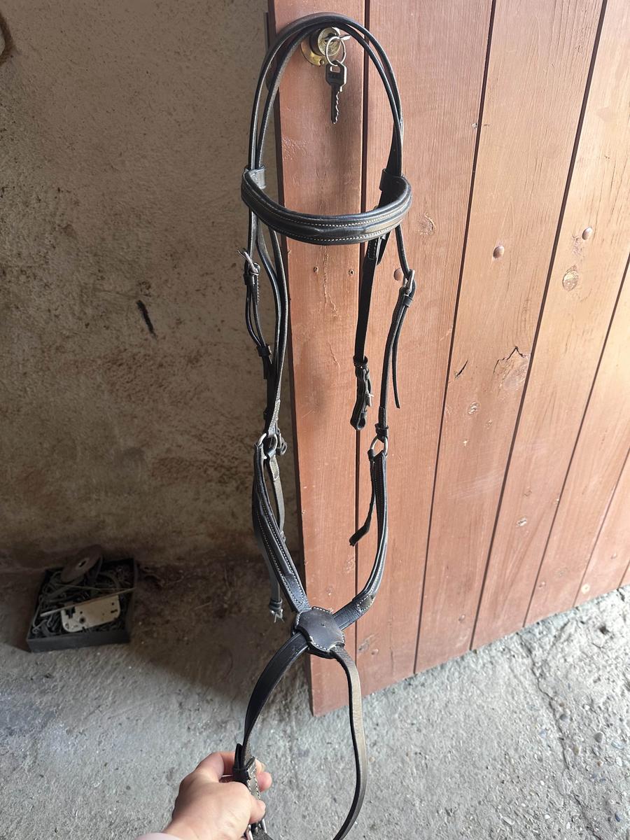 filet noir grand cheval