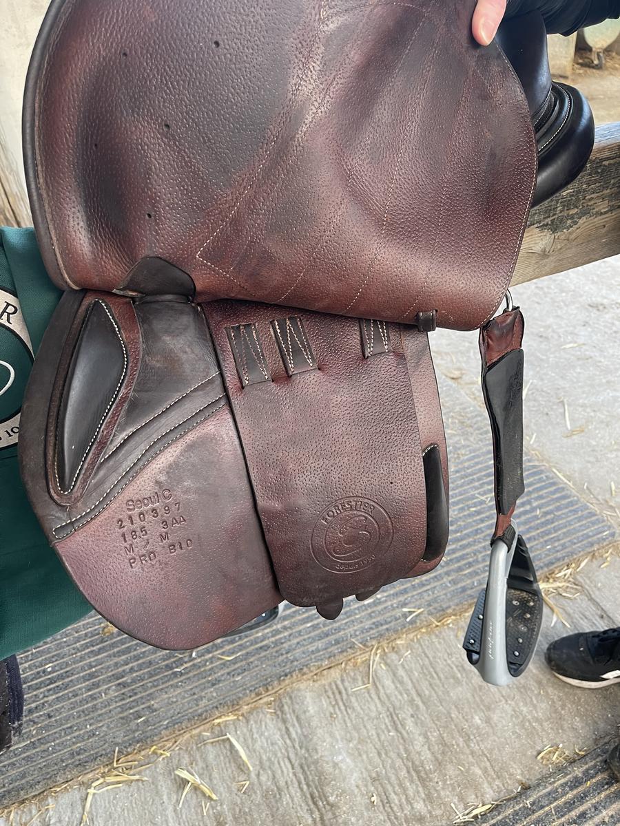 Selle forestier Séoul