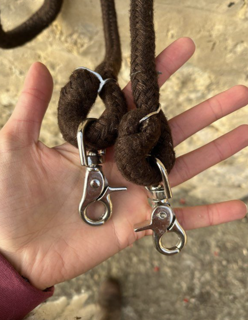 Enrênement extenseur neuf