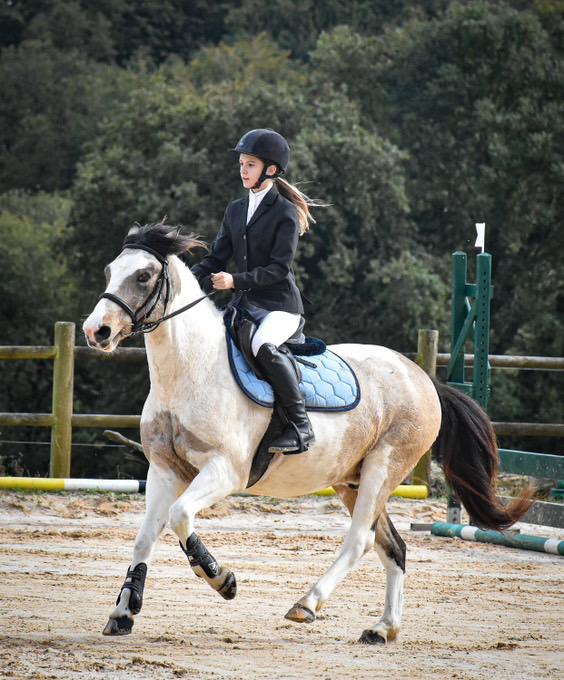 Tapis equidee bleu clair