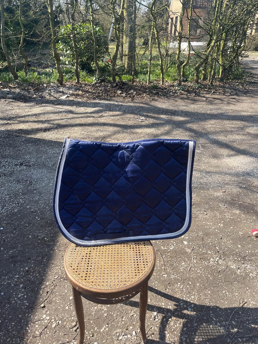 tapis equitheme bleu