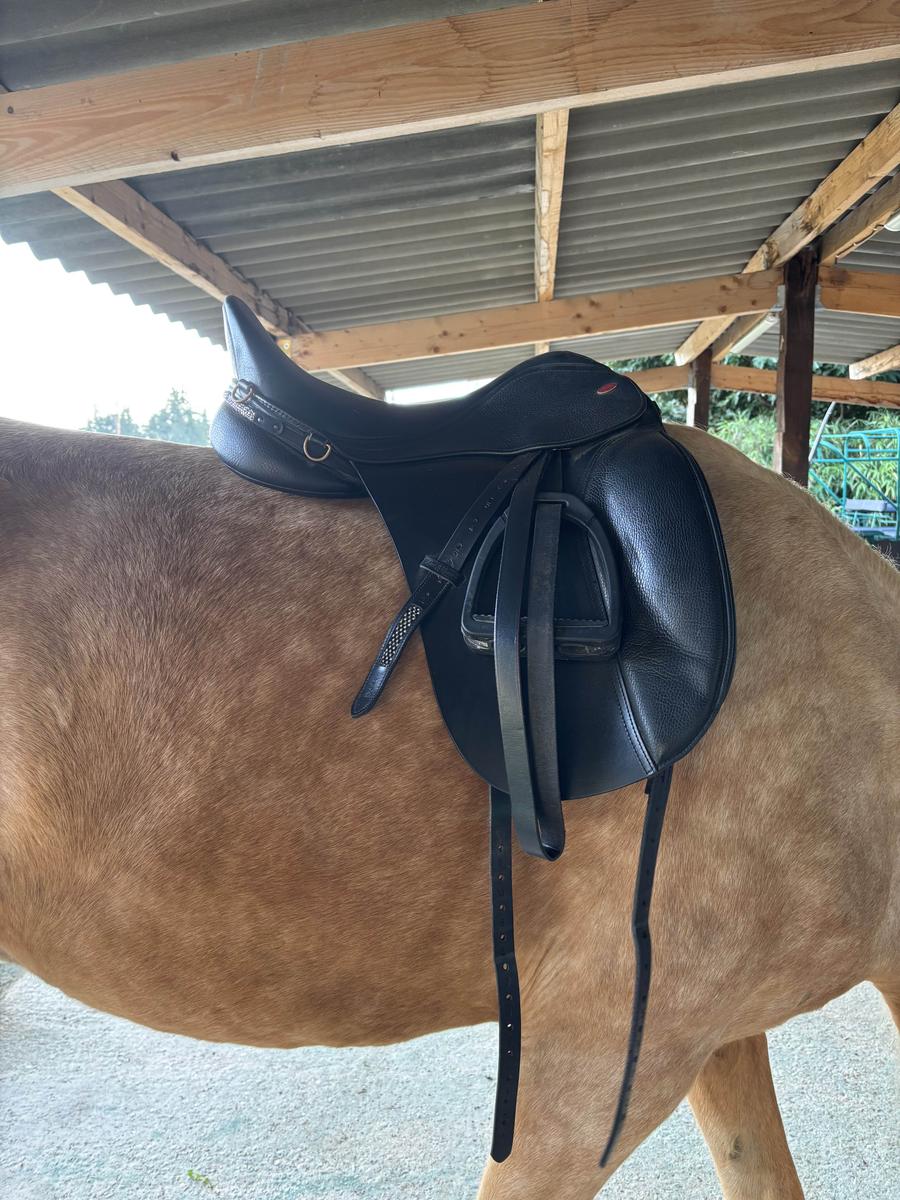 selle dressage kent & Master