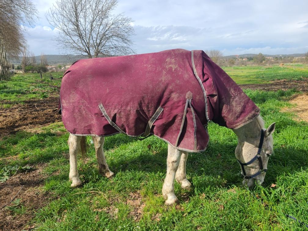 Couverture d'extérieur Weatherbeeta 140cm