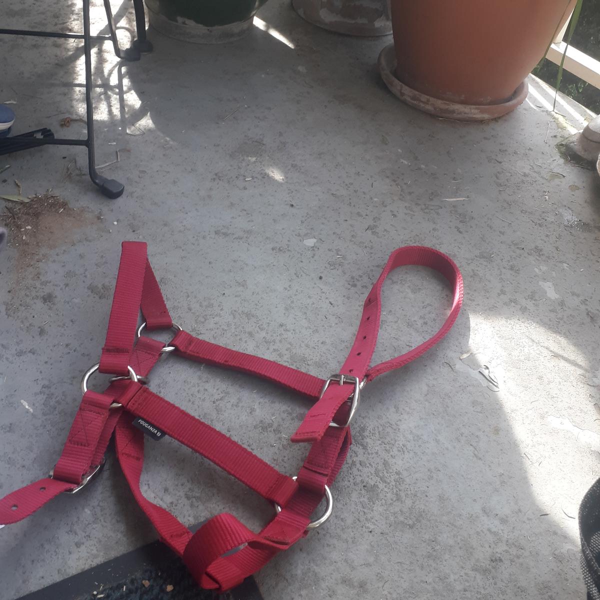 Licol + longe Fouganza