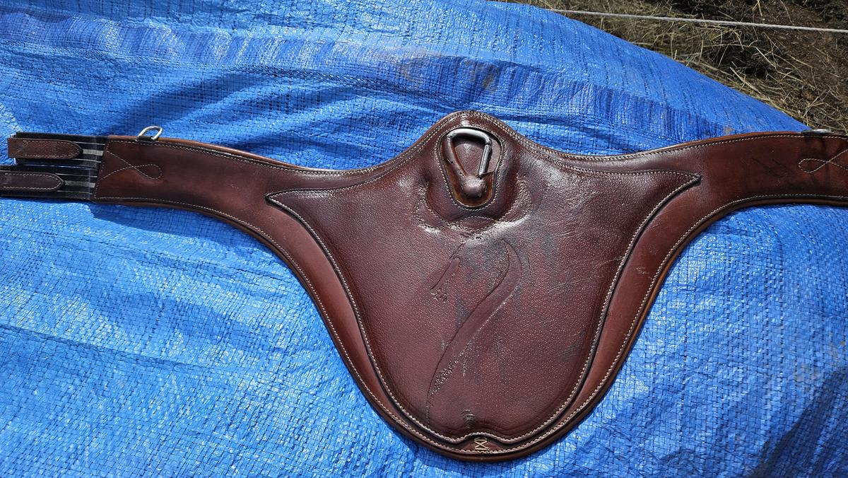 Sangle bavette Antares