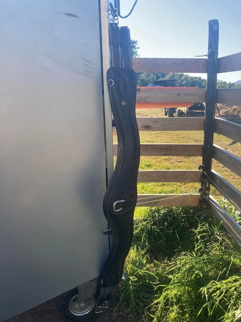 Sangle Flags and Cup 125cm