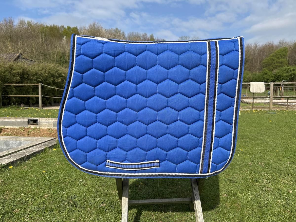 tapis équitheme bleu