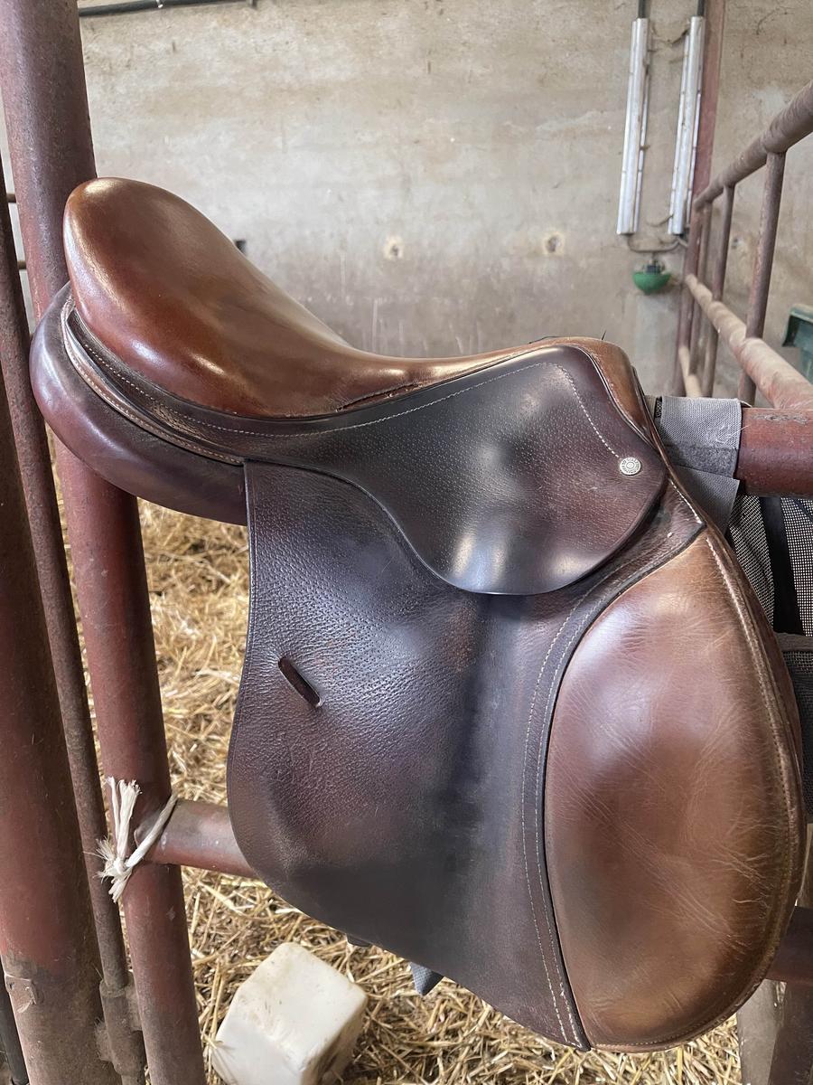 Selle Altaïr by Antares