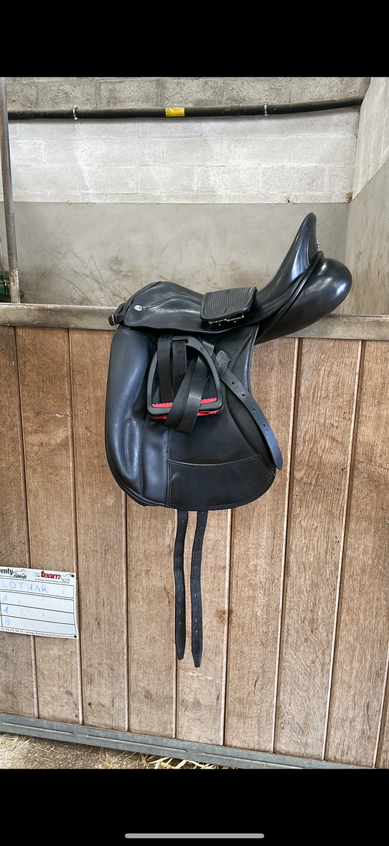 Selle de dressage zaldi