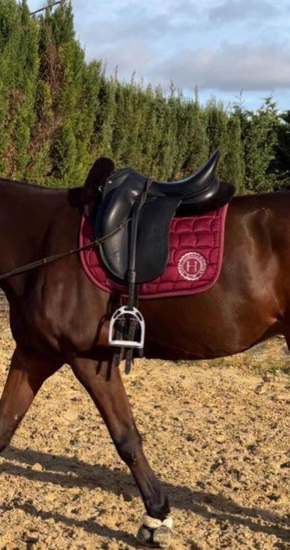 tapis harcour bordeaux