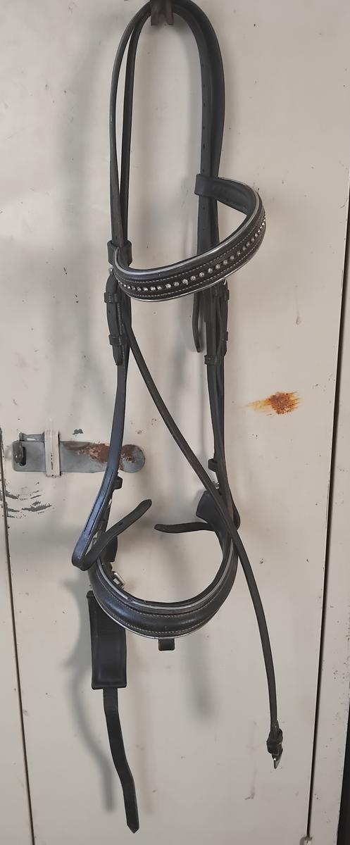 Bridon cheval